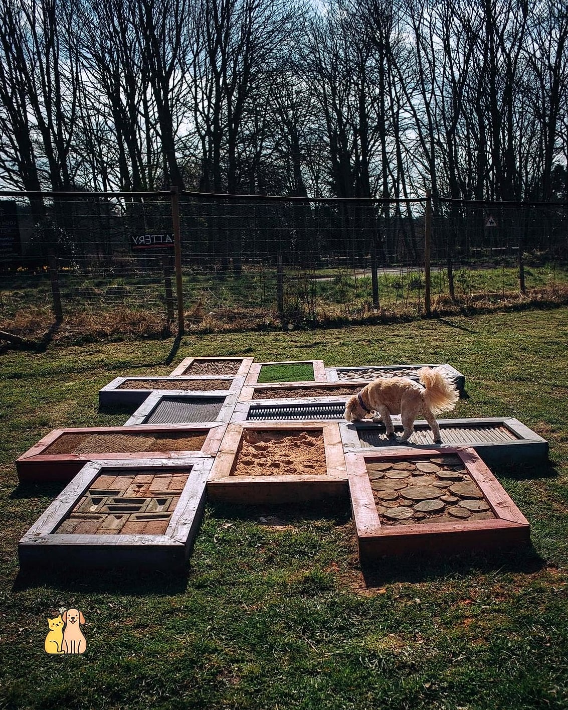 25 Simple Dog Yard Ideas to Try Right Now 15 A Sensory Garden With Textures