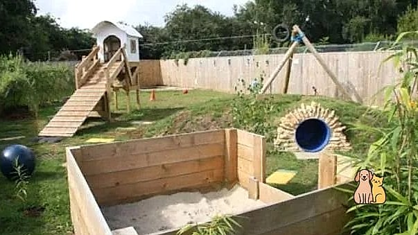 A Sensory Garden Window Box for Cats