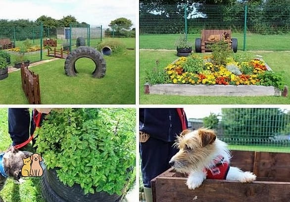 Sensory Garden Walks