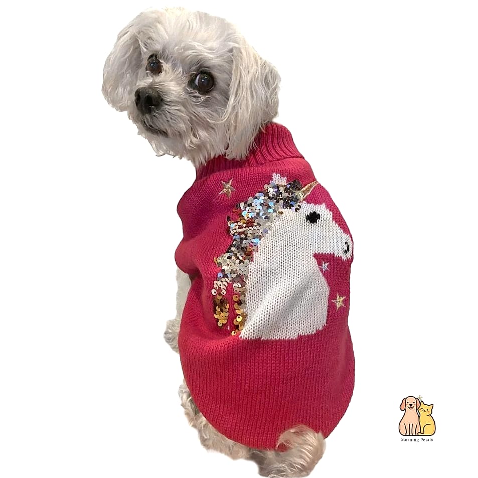 The Sequin Party Sweater