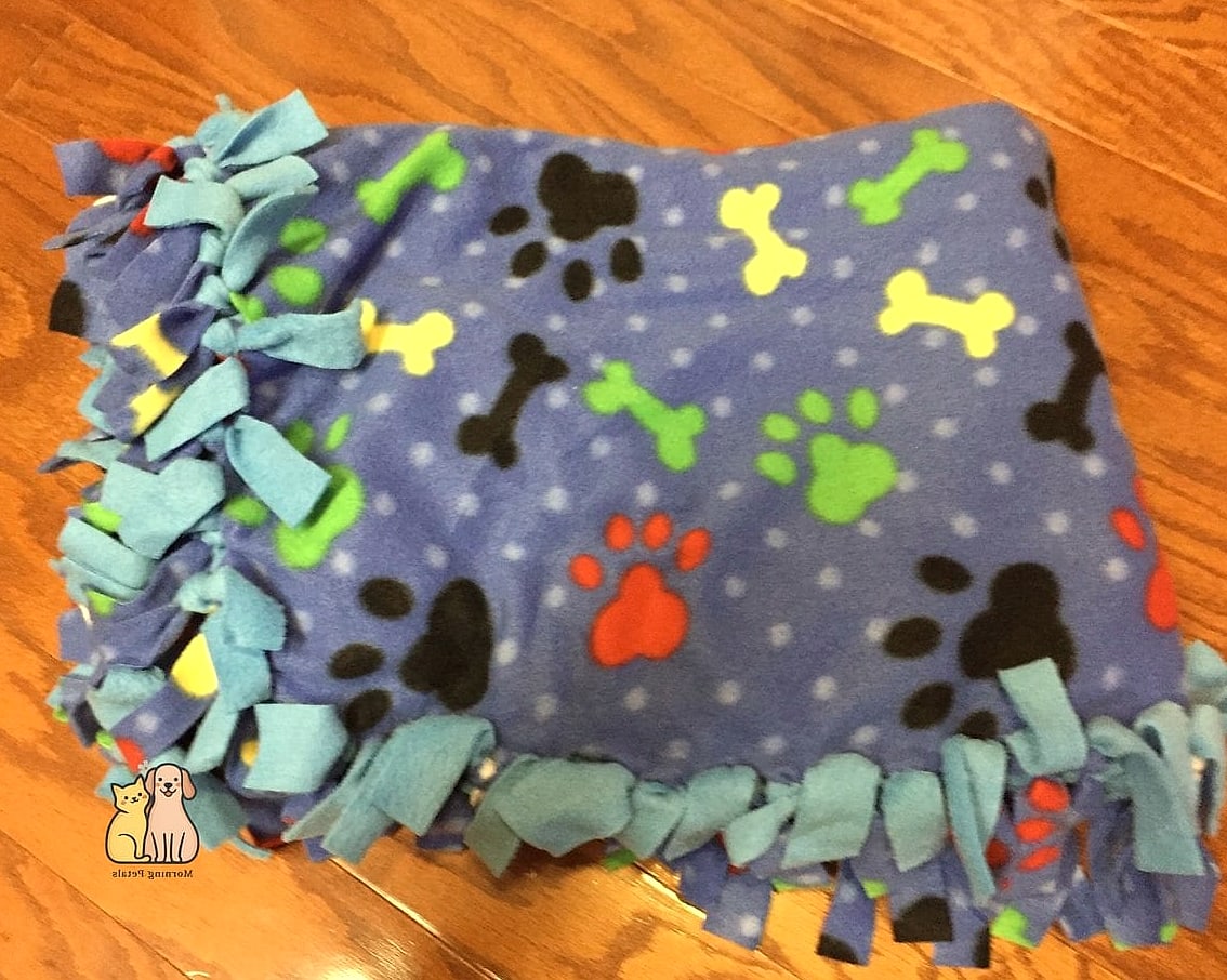 The No-Sew Blanket Dog Vest
