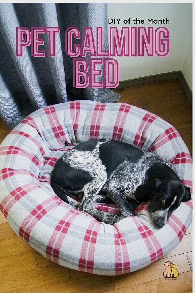 3. No-Sew Fleece Blanket Dog Bed