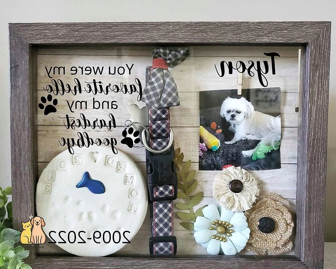23 Perfect Dog Memorial Ideas Your Pet Will Love 10 A Shadow Box With Their Collar and Tags