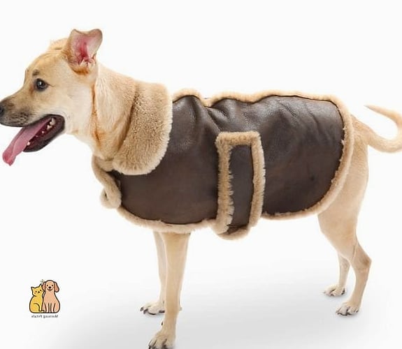 The Shearling Bomber Jacket