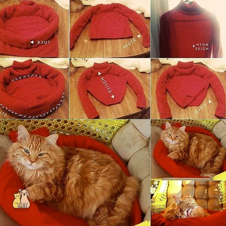 The T-Shirt Donut Bed