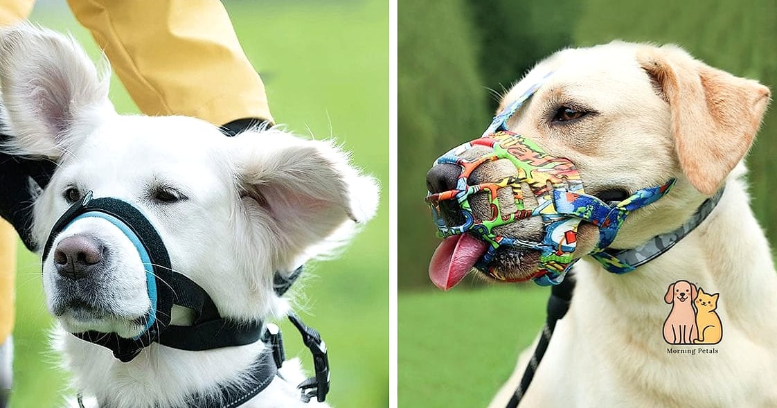 The Short Snout Muzzle for Flat-Faced Breeds