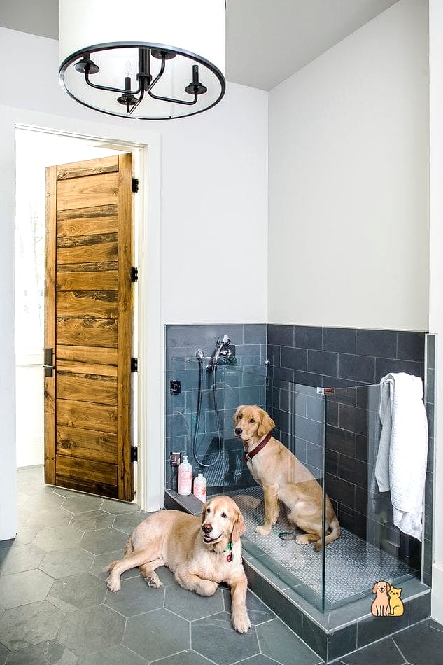 20 Brilliant Homemade Dog Bath Tub on a Budget 20 Simple Bathroom Corner Dog Tub