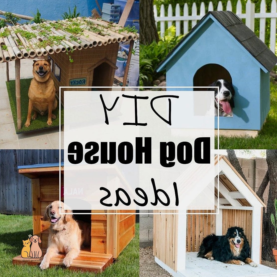 The Simple Hose And Deck Dog Wash Station
