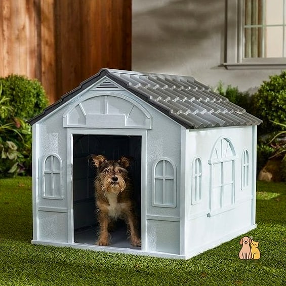 23 Incredible Best Dog Houses That Will Make Your Day 13 The Simple Plastic Weatherproof Kennel
