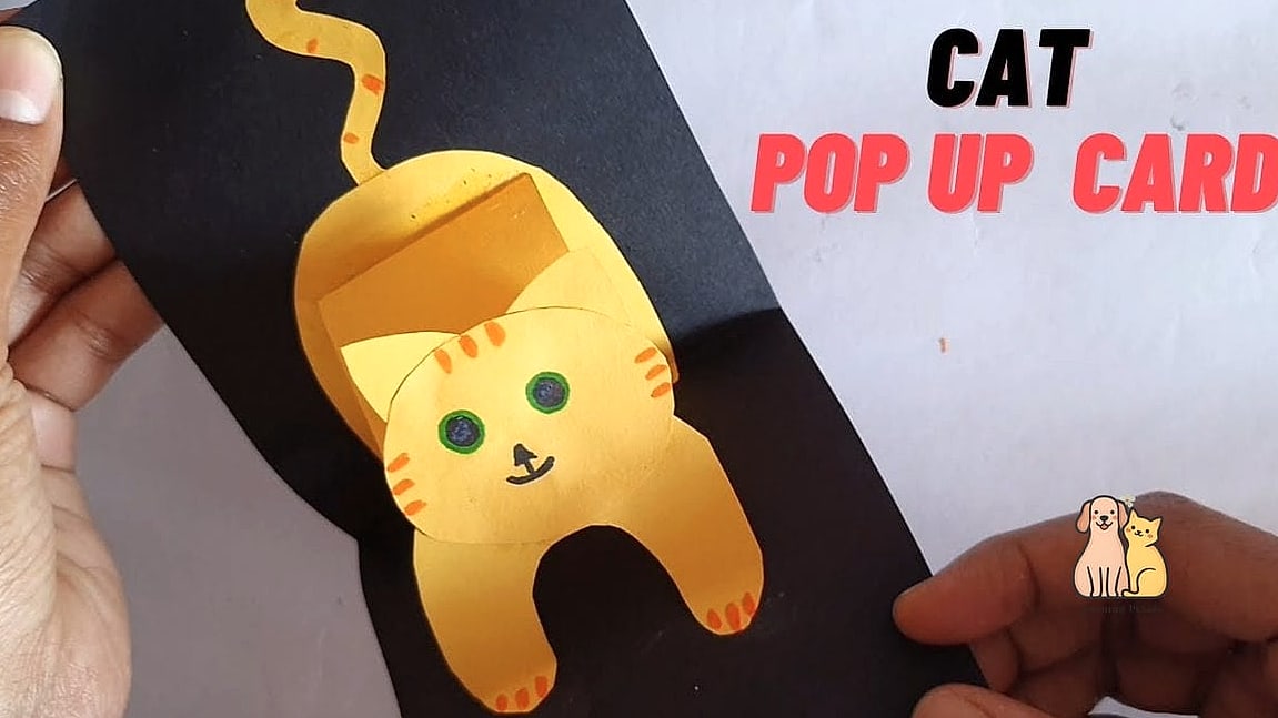 The Simple Popup Mesh Catio