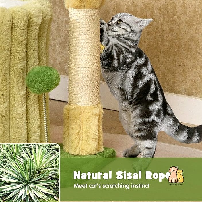 35 Precious Cool Cat Trees That Prove Pets Are the Best 33 The Sisal Post and Perch Combo Tower