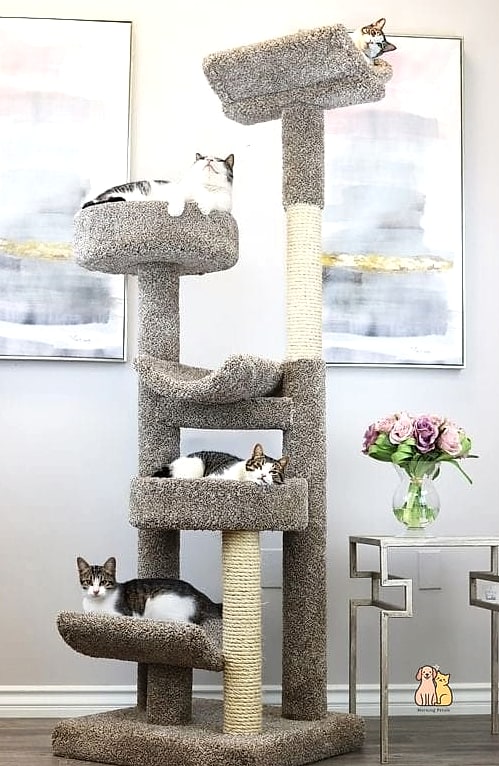 The Sisal Rope Cat Tower with Bird Feeder View