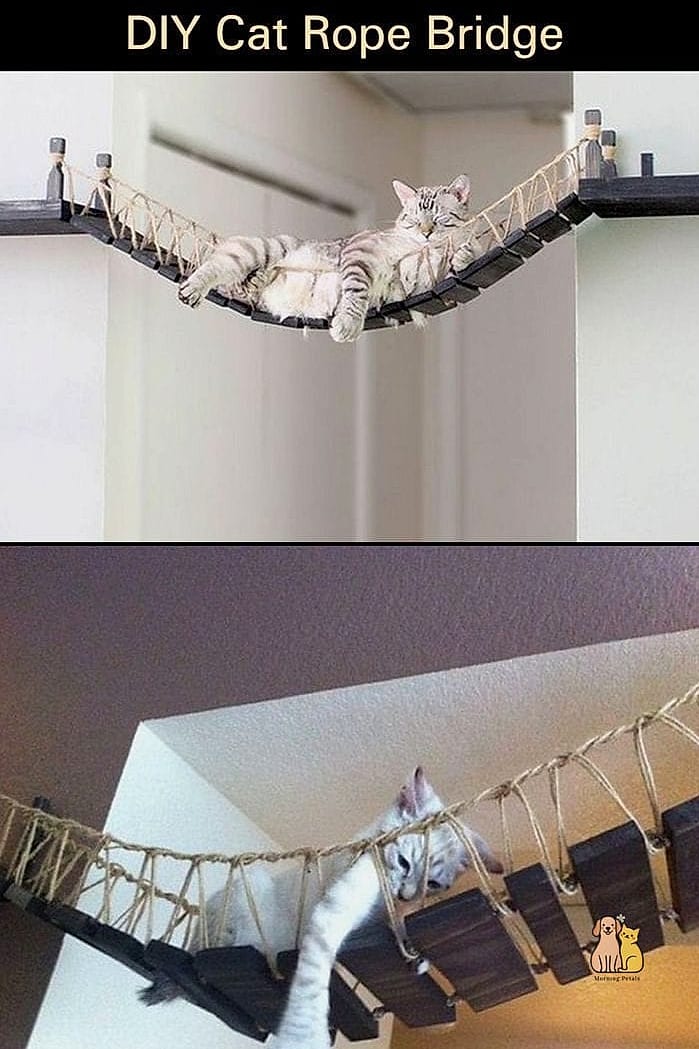 30 Creative Diy Cat Scratchers That Will Inspire You 17 Sisal Rope Ottoman Scratcher