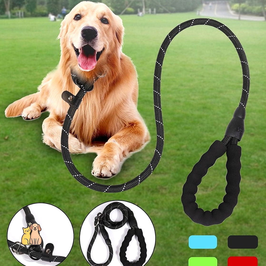 The Slip Leash for Quick Trips Outside