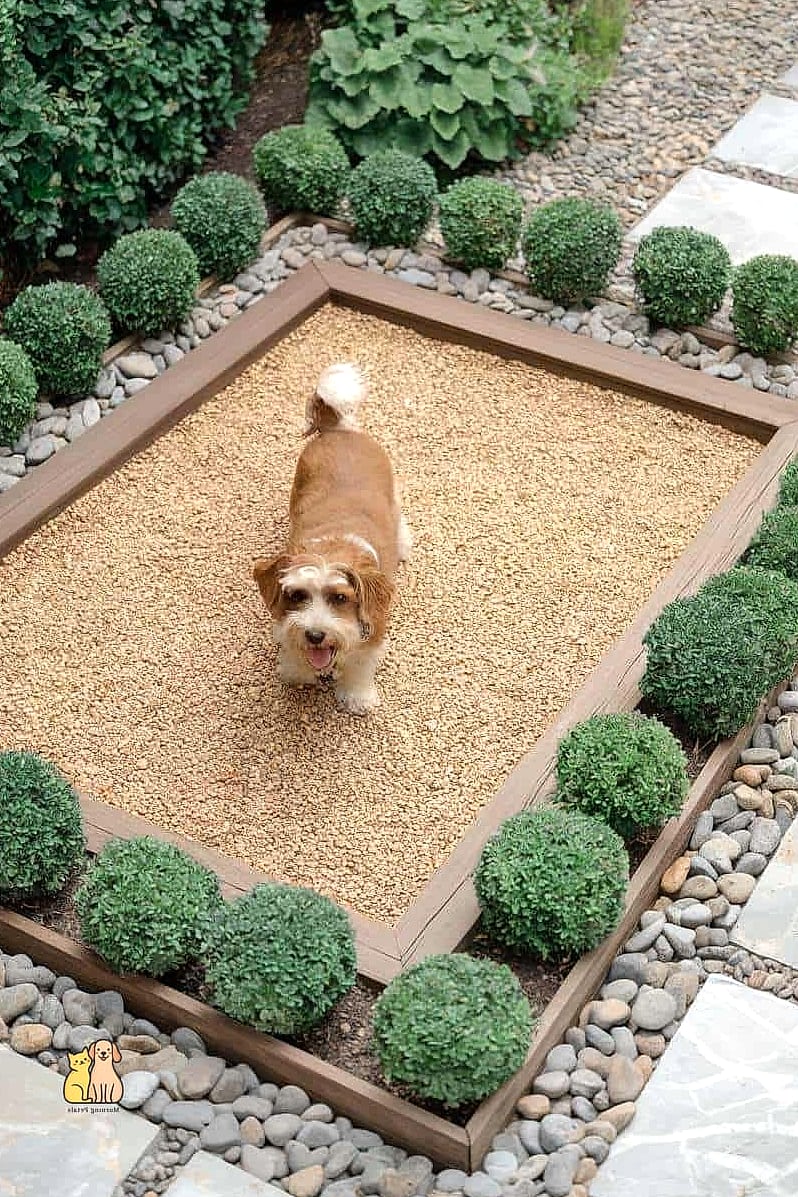 30 Perfect Outdoor Dog Potty Area on a Budget 15 Sloped Gravel Drainage Bed