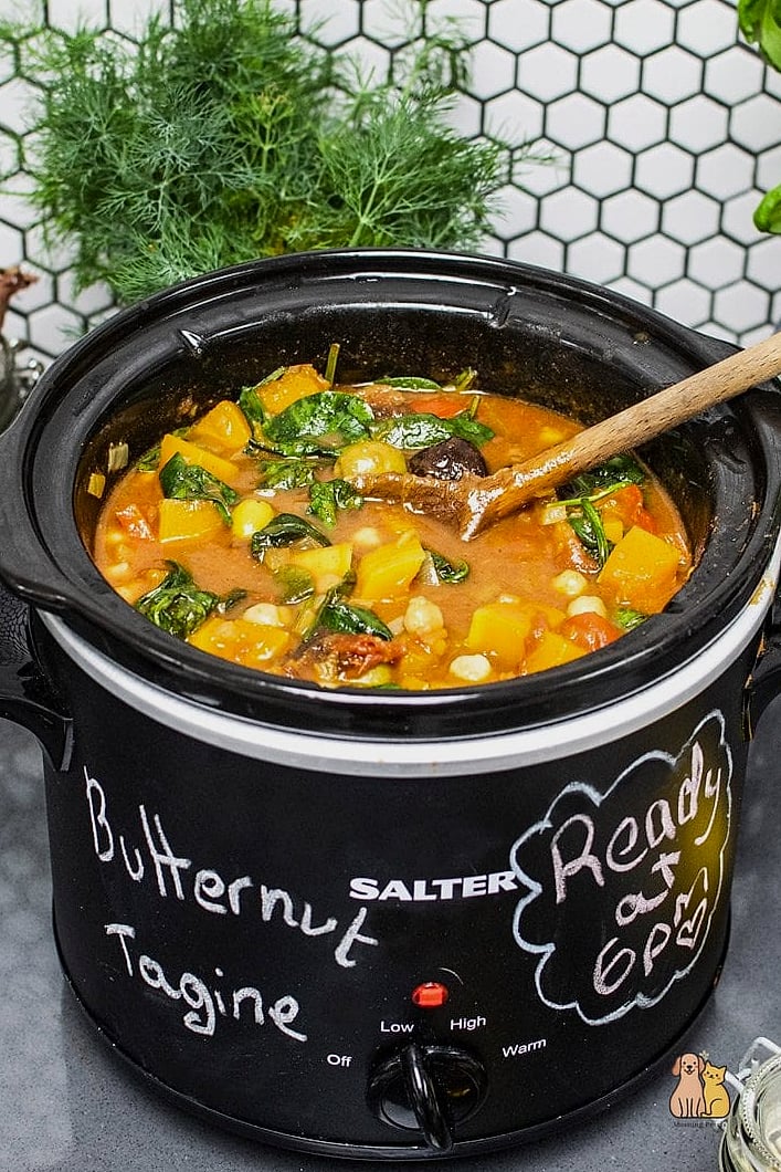 19 Budget-friendly Homemade Dog Meals That Are Totally Worth It 7 Slow Cooker Chicken Stew