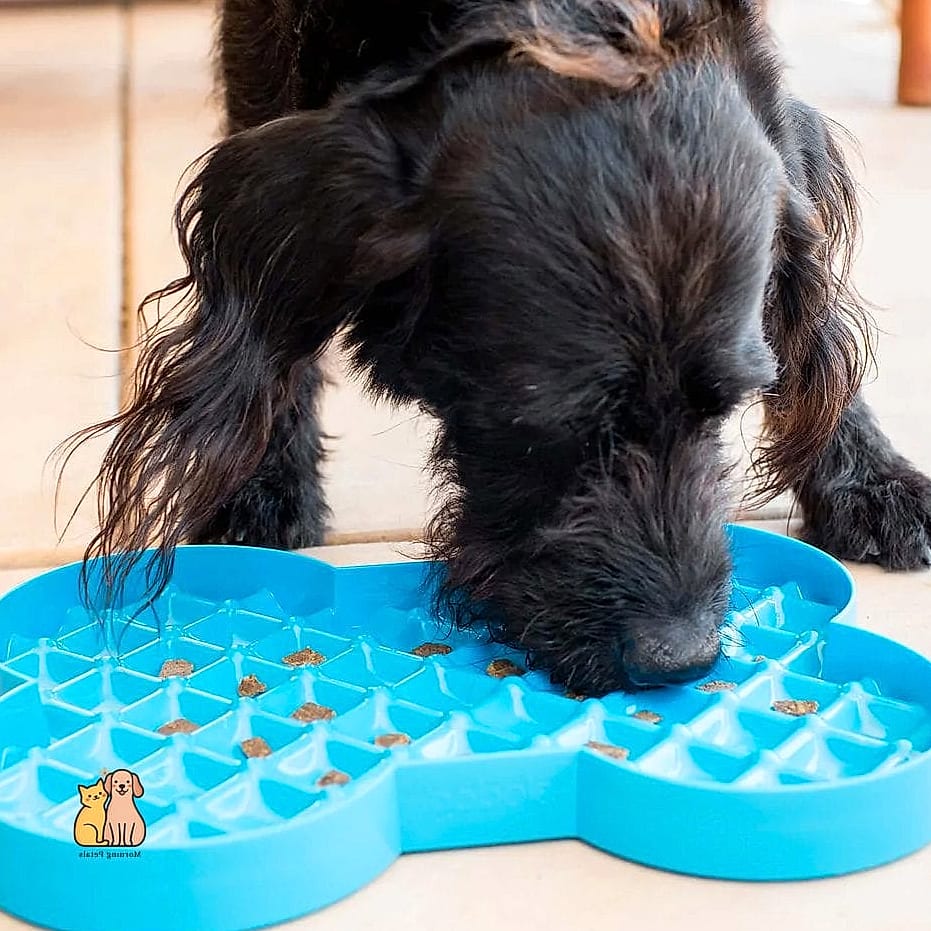 20 Clever Dog Corner Ideas That Are Totally Worth It 6 The Slow Feeder Dining Corner