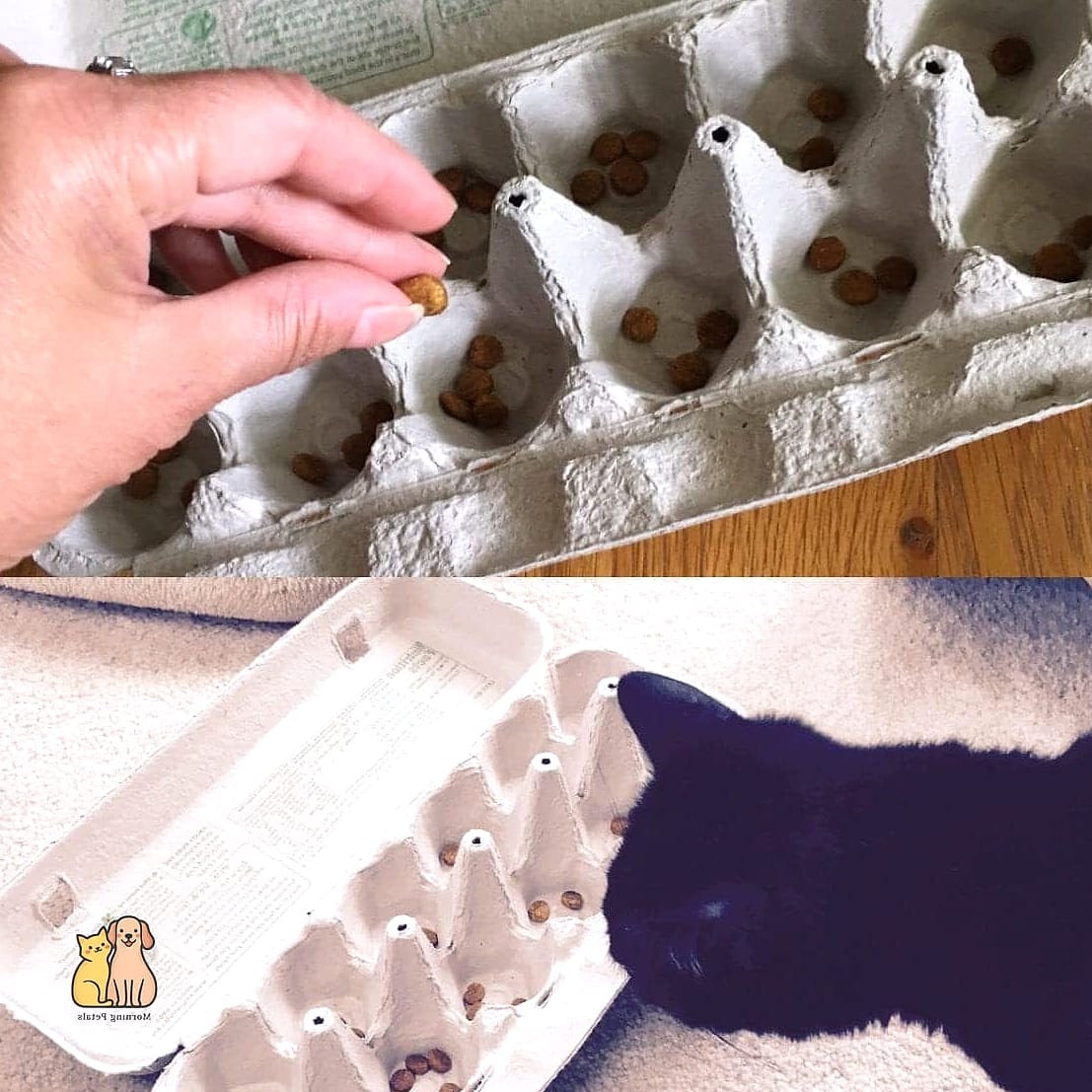 Slow Feeder Bowl from a Muffin Tin