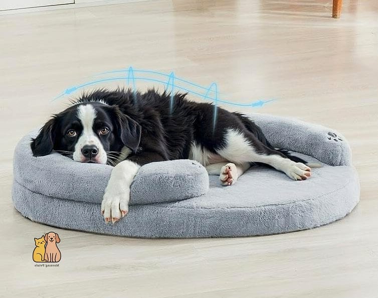 15 Gorgeous Orthopedic Dog Beds That Will Restore Your Faith in the World 7 The Small Dog Orthopedic Nest Bed