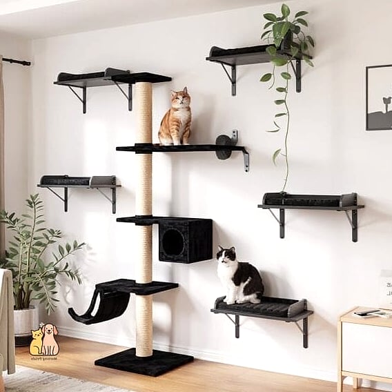 The Small Space Corner Climbing Wall
