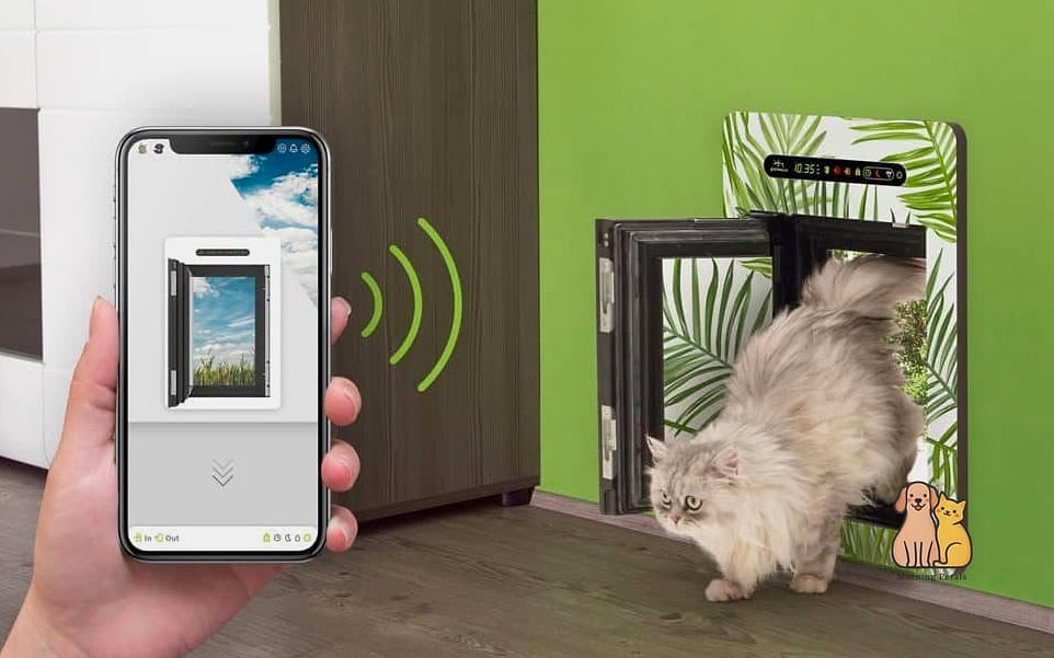 Smart App-Controlled Door