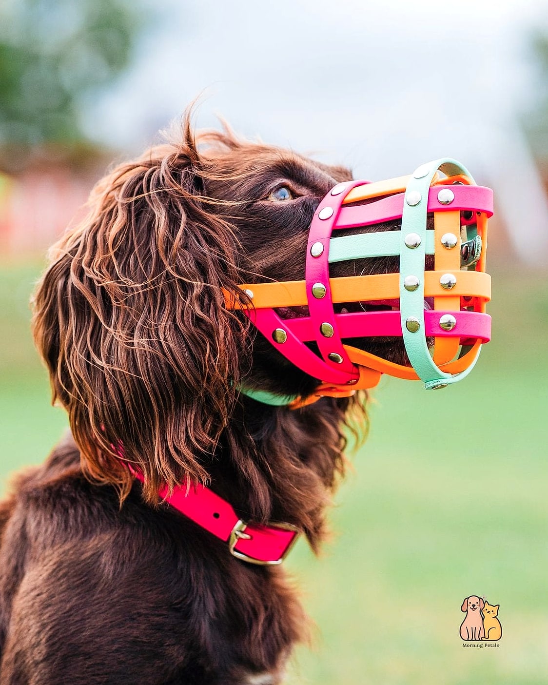 The Snuggle-Fit Muzzle for Anxious Dogs