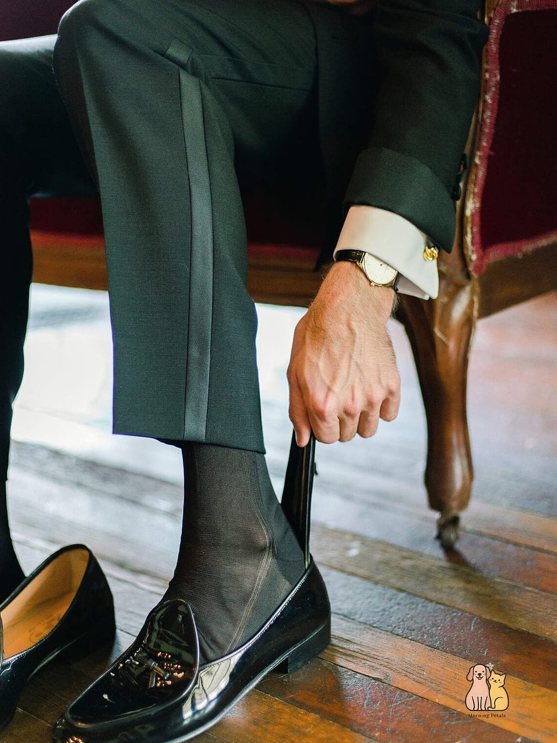 30 Incredible Fancy Tuxedo Cats That Will Make Your Day 16 The Sock-Footed Tuxedo Climber
