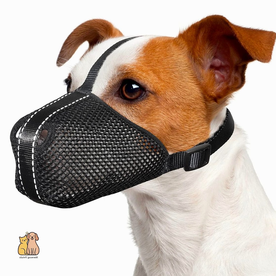 The Soft Fabric Muzzle