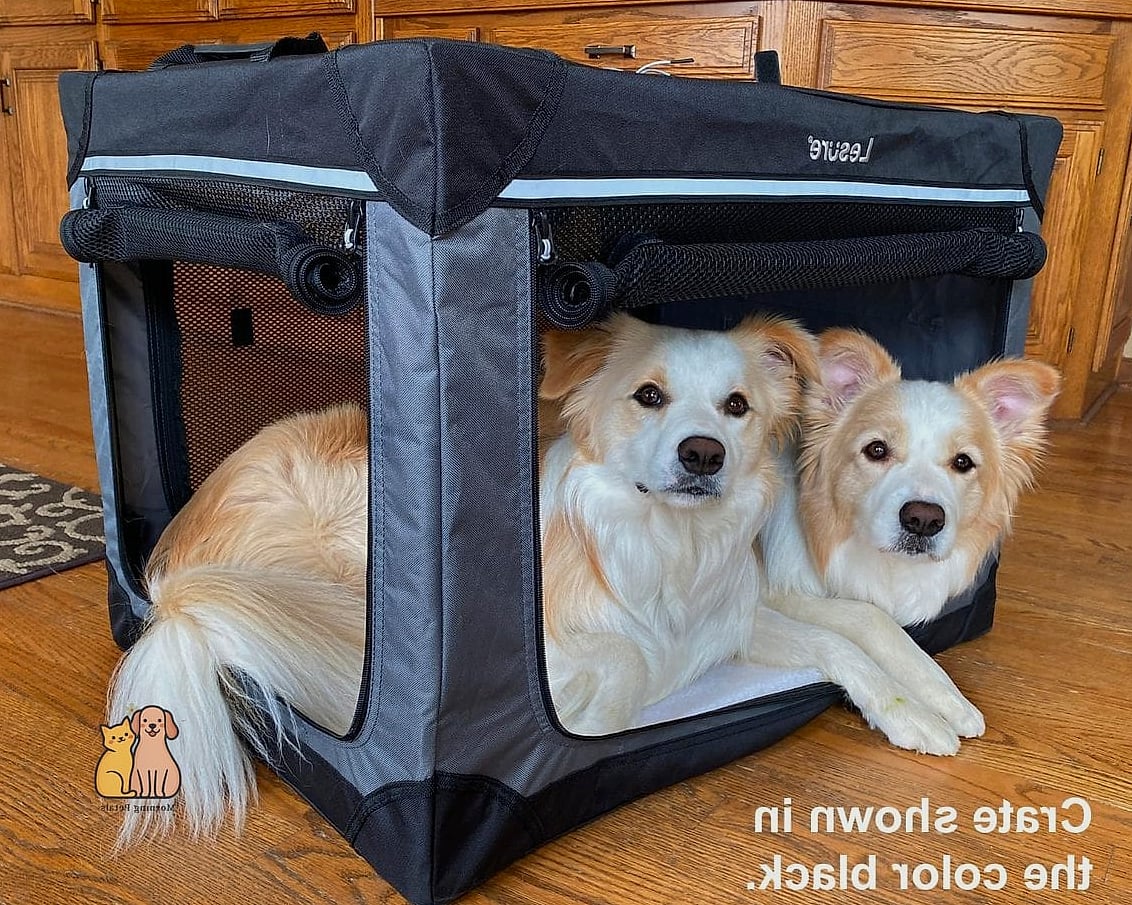 23 Precious Best Dog Crates That Prove Pets Are the Best 4 The Soft-Sided Travel Crate