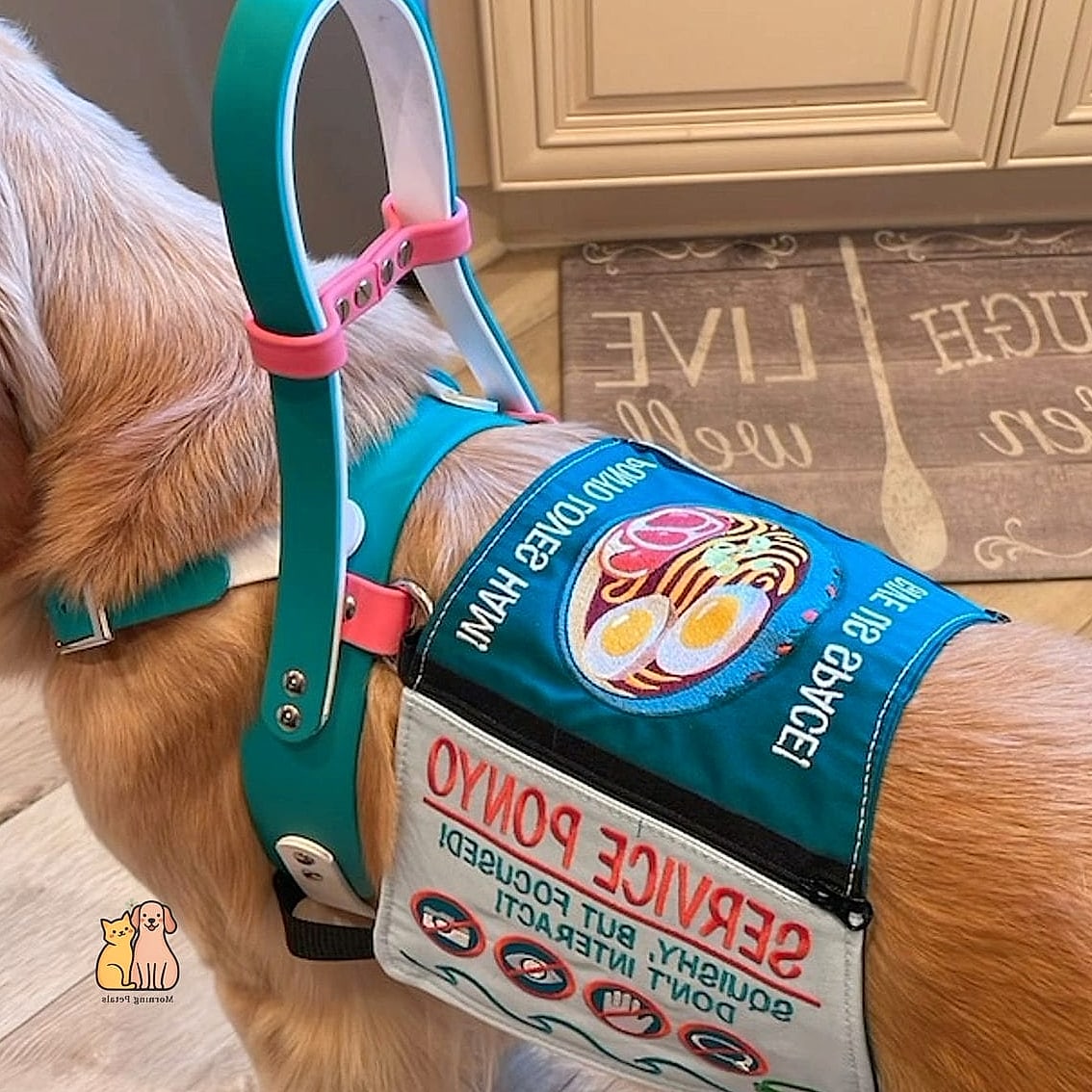 The Soft Vest for Sensory Sensitive Dogs