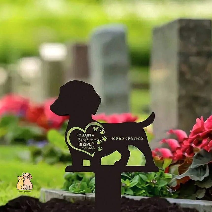 The Solar Light Memorial Circle