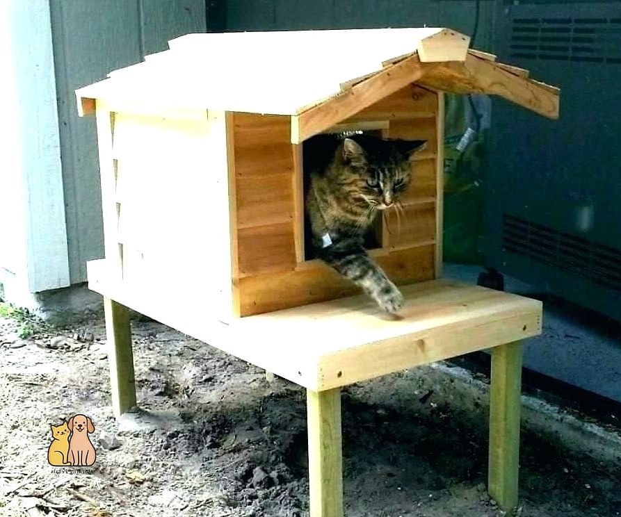 The Solar-Powered Heated Shelter
