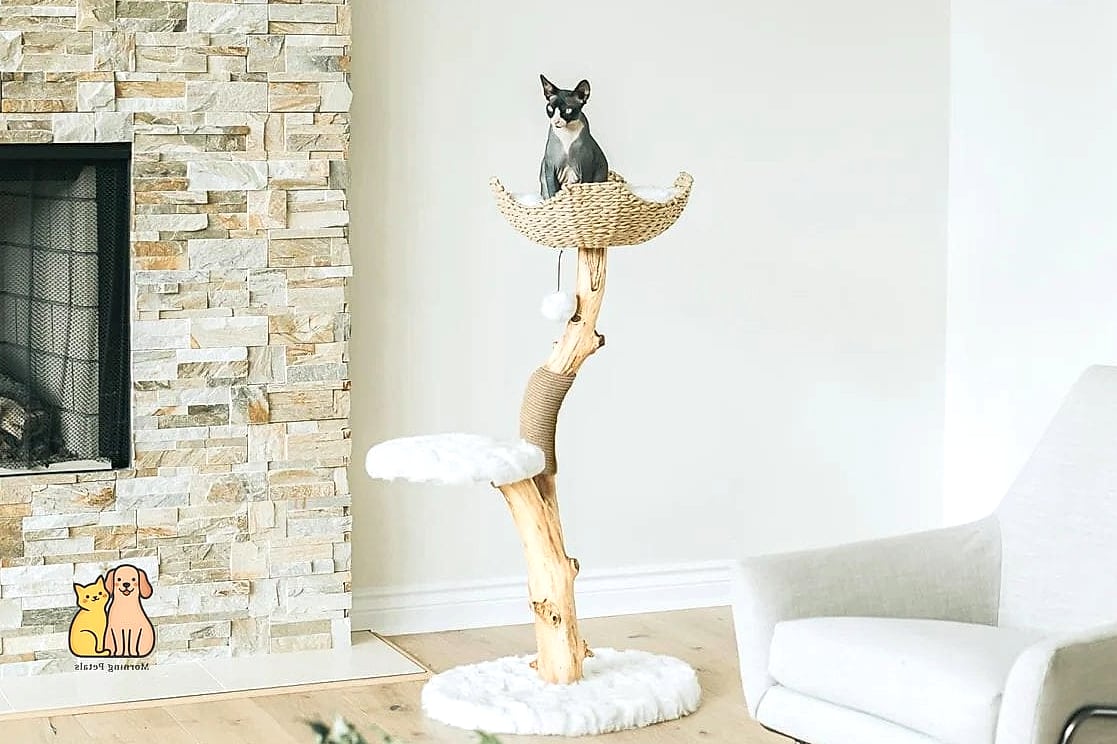 35 Precious Cool Cat Trees That Prove Pets Are the Best 23 The Space-Saving Corner Tree