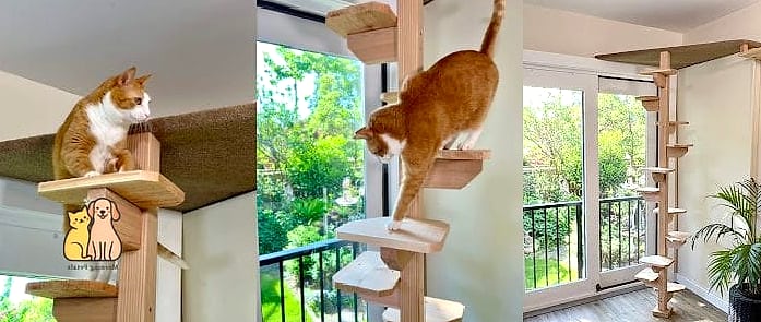 The Spiral Staircase Tower