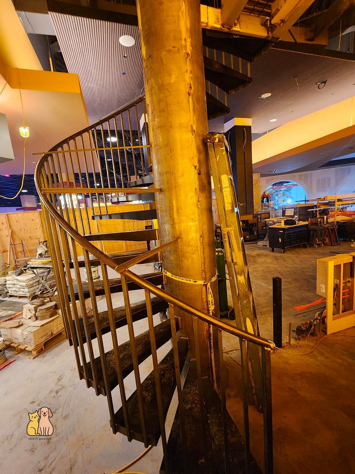 30 Creative Diy Catwalks For Cats That Will Inspire You 10 The Spiral Staircase Wall Climb