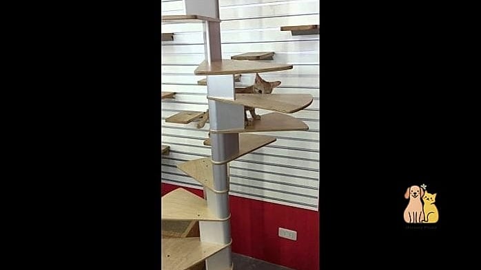45 Easy Diy Cat Condo to Try Right Now 37 The Spiral Staircase Condo