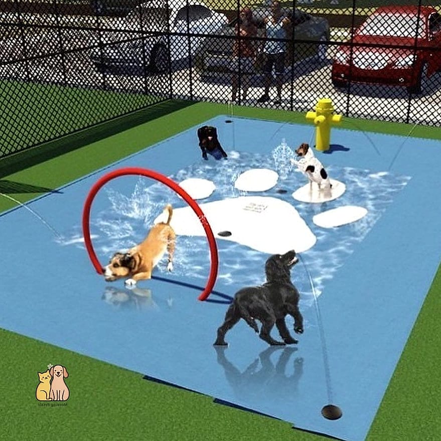 A Splash Zone With a Kiddie Pool