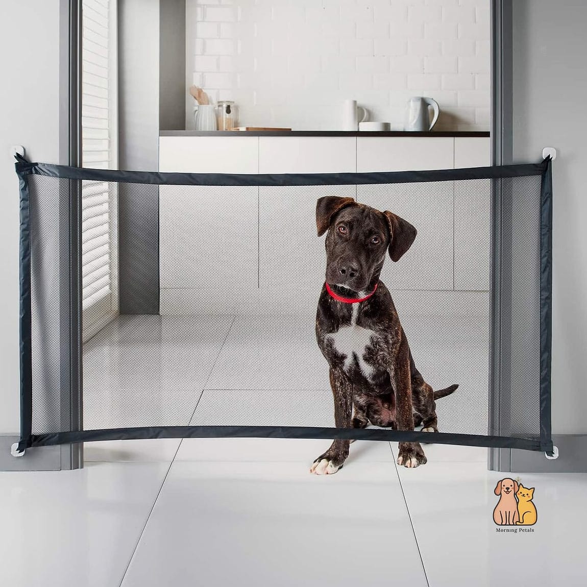 21 Adorable Retractable Dog Leashes That Will Make Your Day 21 The Sporty Mesh-Handle Retractable Leash