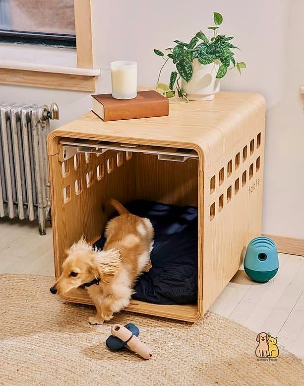 23 Genius Pet Lounge Ideas That Will Inspire You 16 The Stacked Crate Lounge