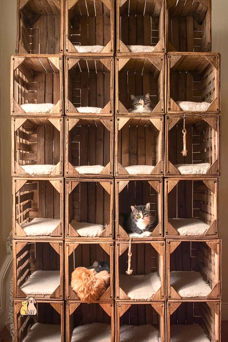 45 Budget-friendly Cat Eating Station Ideas Worth Pinning Immediately 32 The Stacked Crate Feeding Tower