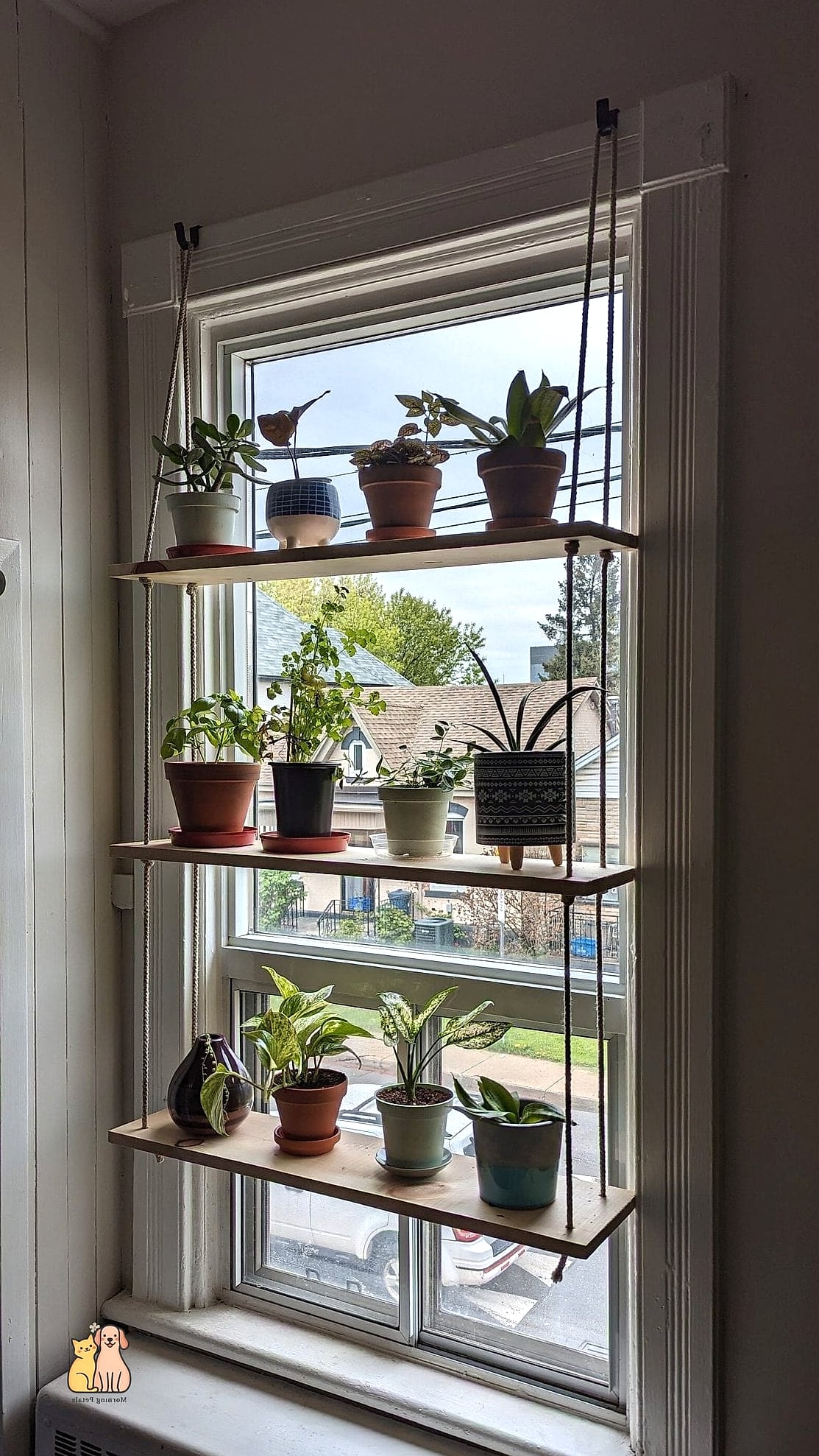15 Gorgeous Small Window Catios That Prove Pets Are the Best 5 The Stacked Shelf Window Tower
