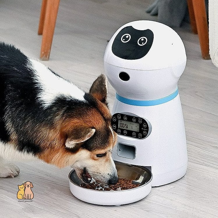 The Stainless Steel Smart Feeder