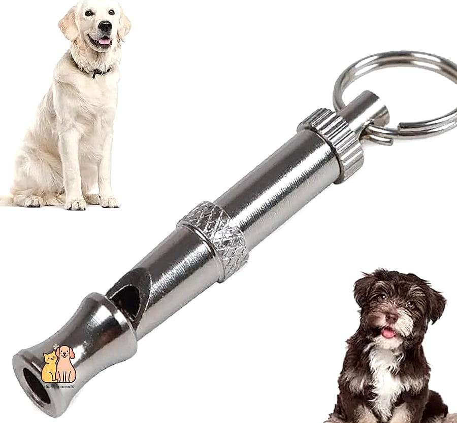 19 Adorable Best Dog Whistles Guaranteed to Make You Smile 10 The Stainless Steel Engraved Whistle