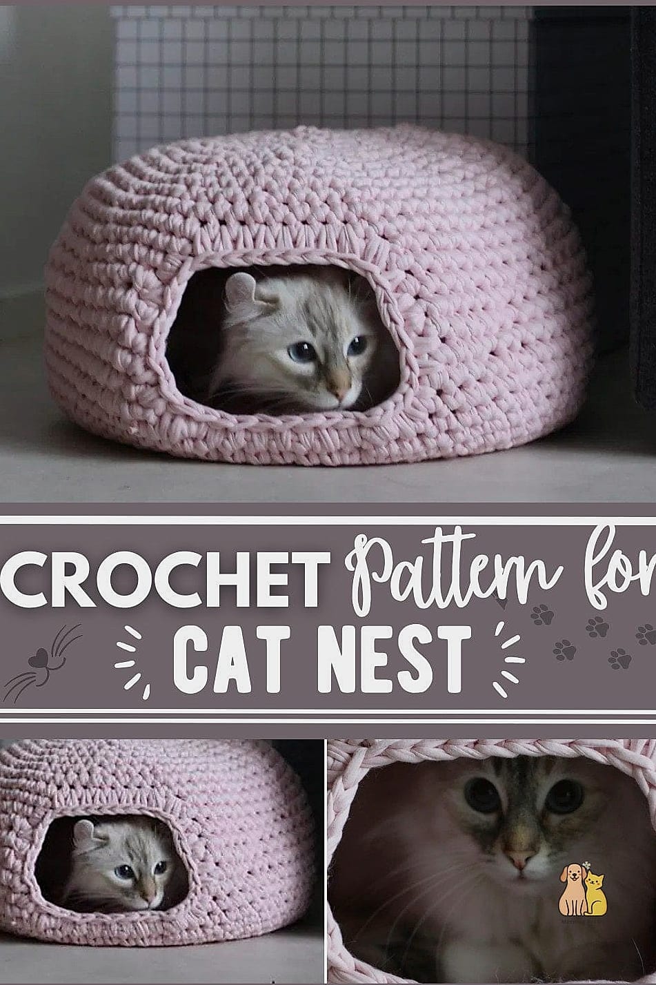 Star-Shaped Nest