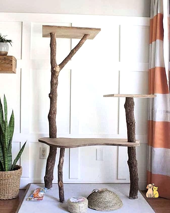 The Statement Piece Spiral Cat Tree