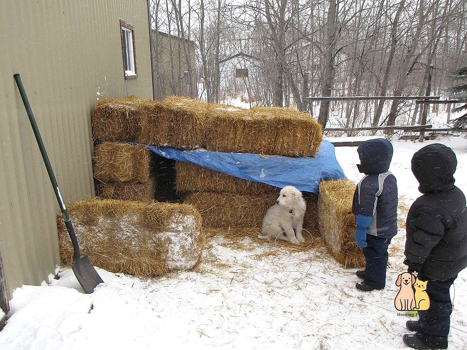 The Straw-Bale Insulated Shelter