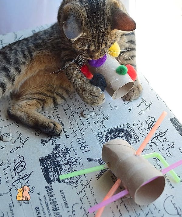 45 Easy Diy Cat Toys to Try Right Now 20 Straw Wrapper Toy