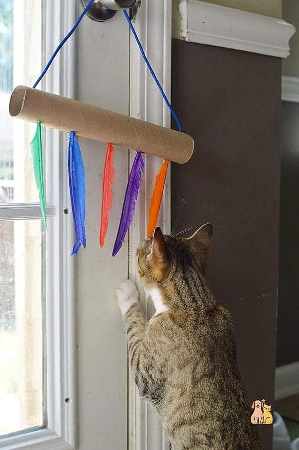 45 Easy Diy Cat Toys to Try Right Now 32 String Through a Box Toy