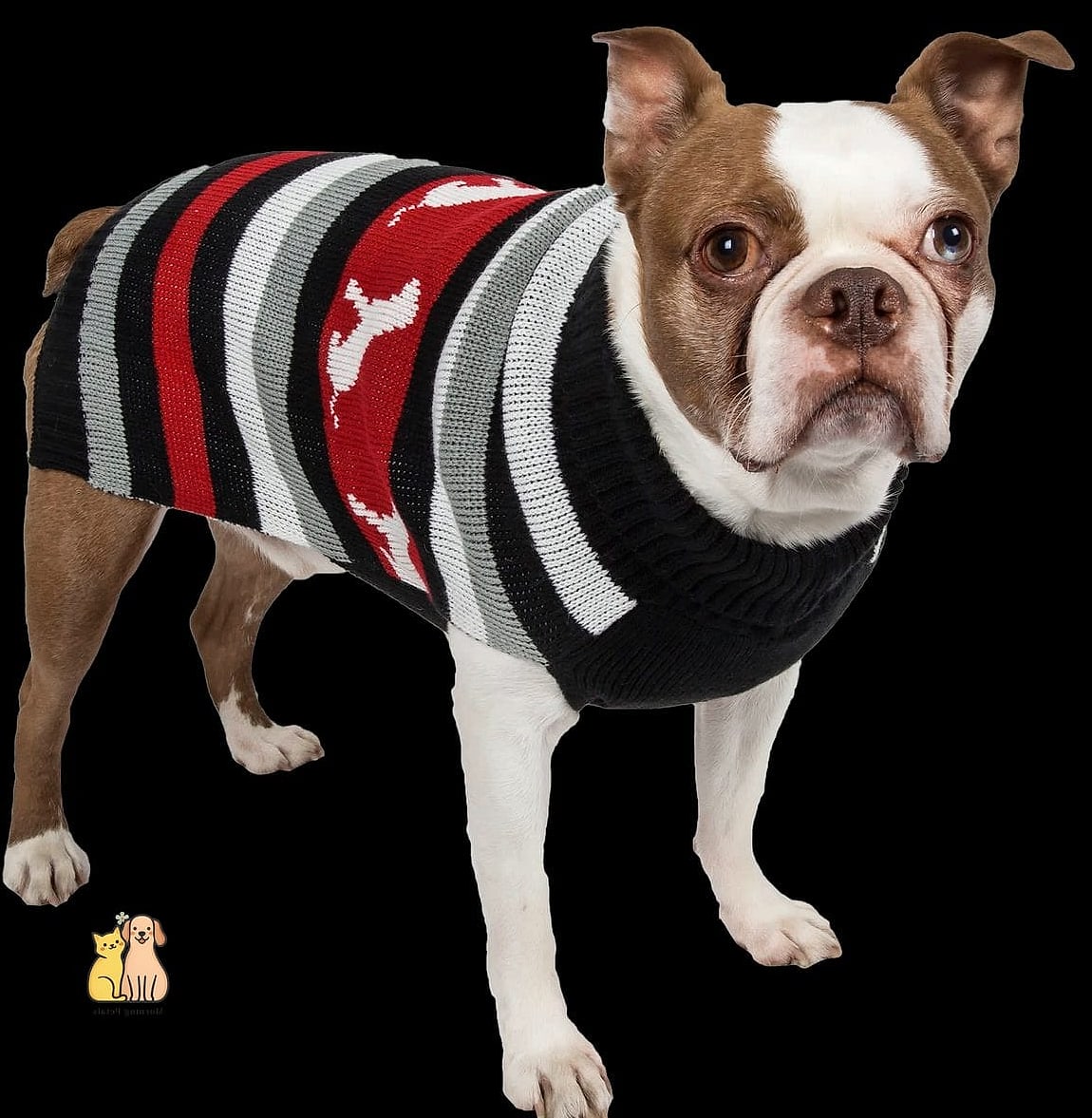 The Striped Nautical Sweater