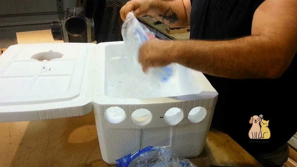 15 Genius Diy Insulated Cat House Worth Pinning Immediately 2 The Styrofoam Cooler Classic